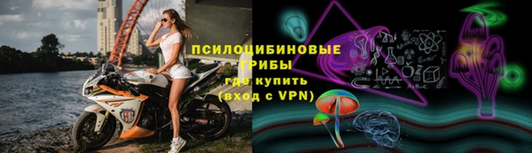 СК Володарск